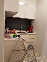 Q Bay Residences (D18), Condominium #524156211